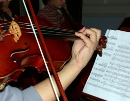 Violín